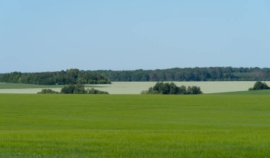 Bahar tarım manzara, Podilski Tovtry Ulusal Parkı, Podolya bölge Ukrayna