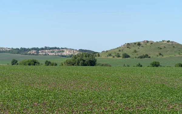 Frühling Landwirtschaftliche Landschaft Podilski Tovtry National Nature Park Podolia Region — Stockfoto