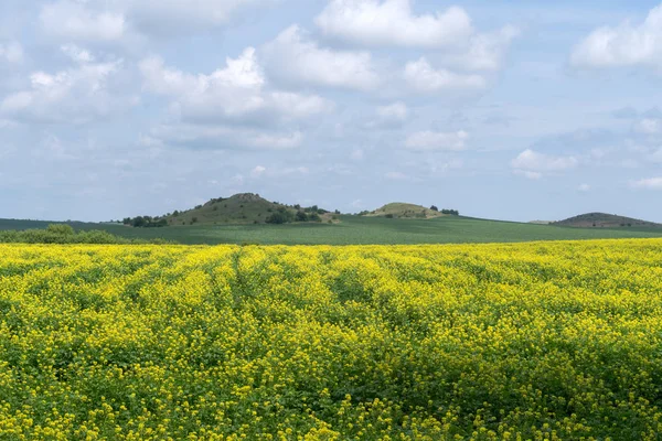 Paysage Agricole Printanier Parc Naturel National Podilski Tovtry Région Podolie — Photo