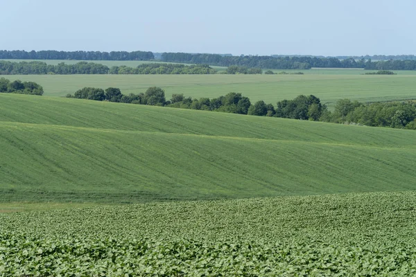 Paysage agricole dans la région de Podolie en Ukraine — Photo