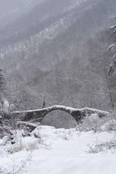Руины Арочного Моста Горах Зимой Муниципалитет Реццо Провинция Империя Италия — стоковое фото