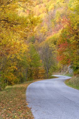 Dağların arasından yol