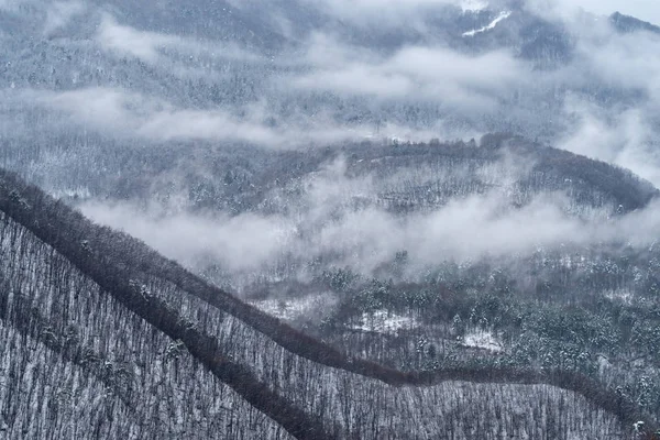 Зима Лигурийских Горах Часть Итальянских Альп — стоковое фото