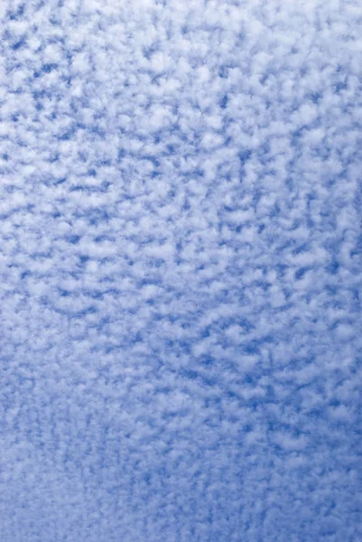 Cirrocumulus Clouds Summer Afternoon — Stock Photo, Image