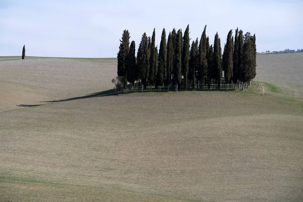 トスカーナの丘やイタリア シエナ地方の田園地帯 — ストック写真