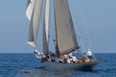 Imperia, İtalya - 7 Eylül 2018: Mürettebat gemiye Yelkenli yarış Paneray Klasik yatlar Challenge, Imperia üzerinde regatta sırasında üzerinde