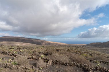 Sağlam manzara volkanik toprak, Lanzarote Adası, Kanarya Adaları, İspanya