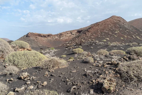 Trockene Landschaft Lanzarote Kanarienvogel Spanien — Stockfoto