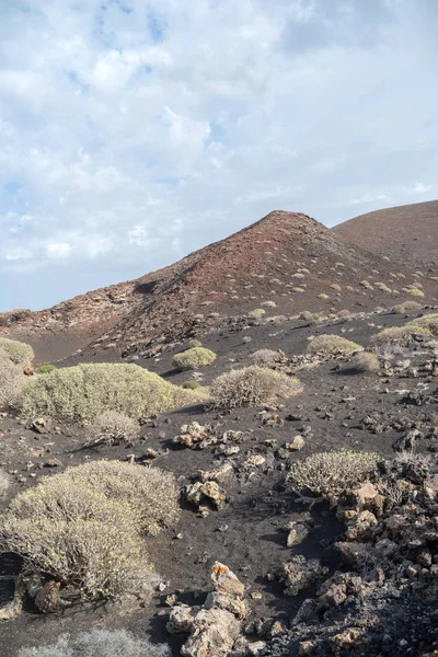 Paisagem Árida Lanzarote Canário Espanha — Fotografia de Stock