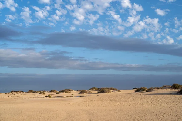 Naturpark Corralejo Fuerteventura Kanarische Inseln Spanien — Stockfoto