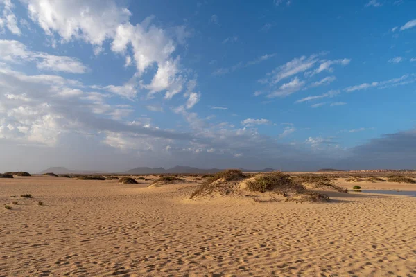 Corralejo Natural Park Fuerteventura Канарские Острова Испания — стоковое фото