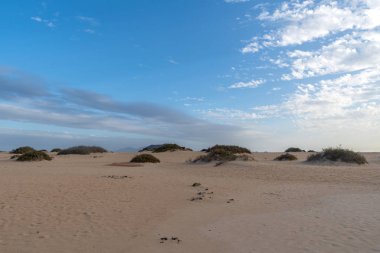 Corralejo Tabiat Parkı, Fuerteventura, Kanarya Adaları, İspanya