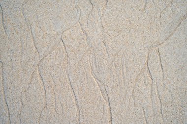 Güzel doğal doku tasarım gelgit tarafından sahilde yaptı