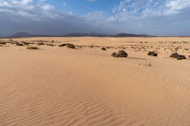 Kum tepeleri, Corralejo Tabiat Parkı, Fuerteventura, Kanarya Adaları, İspanya