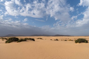 Kum tepeleri, Corralejo Tabiat Parkı, Fuerteventura, Kanarya Adaları, İspanya