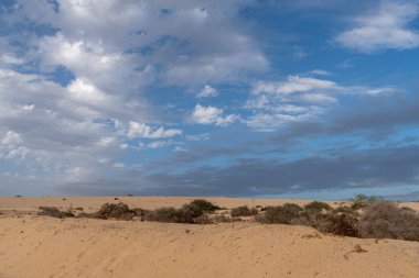 Kum tepeleri, Corralejo Tabiat Parkı, Fuerteventura, Kanarya Adaları, İspanya