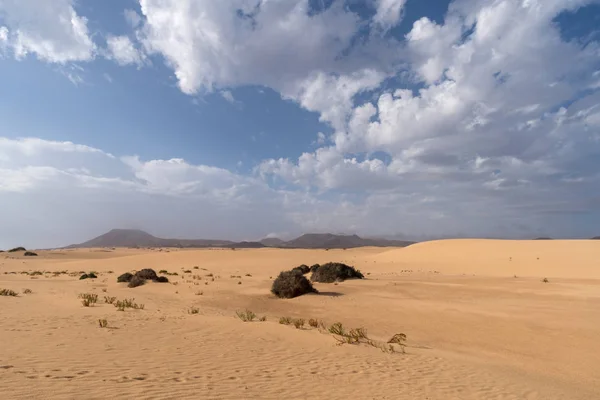 Sand Dunes Corralejo Natural Park Fuerteventura Canary Islands Spain — Stock Photo, Image