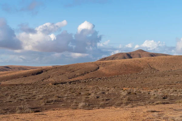 Volkanik Manzara Fuerteventura Kanarya Adaları Spanya — Stok fotoğraf