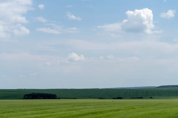 Jarní Zemědělské Krajiny Podilski Tovtry Národní Přírodní Park Podolí Ukrajině — Stock fotografie