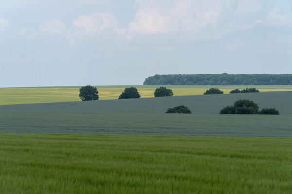 Spring agricultural landscape, Podilski Tovtry National nature park, Podolia region of Ukraine