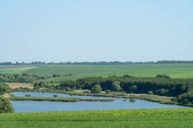 Su birikintisi içinde yaz, Podilski Tovtry Ulusal Parkı, Ukrayna