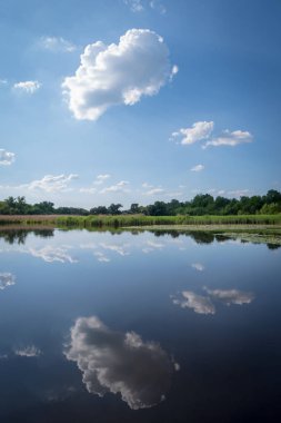 Su birikintisi içinde yaz, Podilski Tovtry Ulusal Parkı, Ukrayna