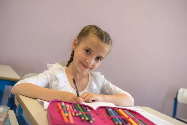 Elementary school student in classroom — Stock Photo, Image