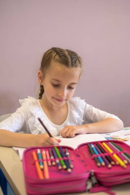 İlkokul öğrencisi sınıfta.