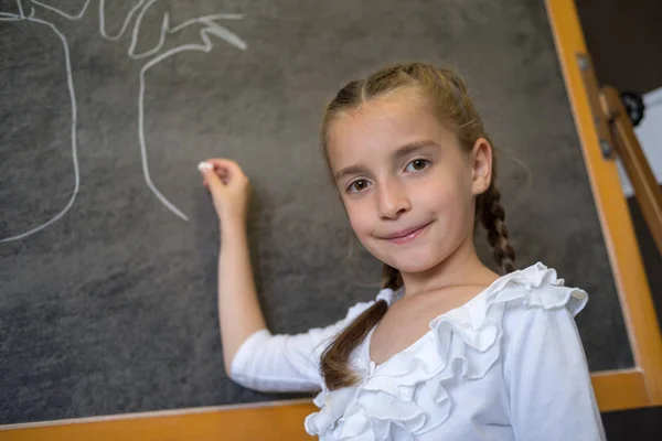 Elementary student drawing on blackboard — Stock Photo, Image