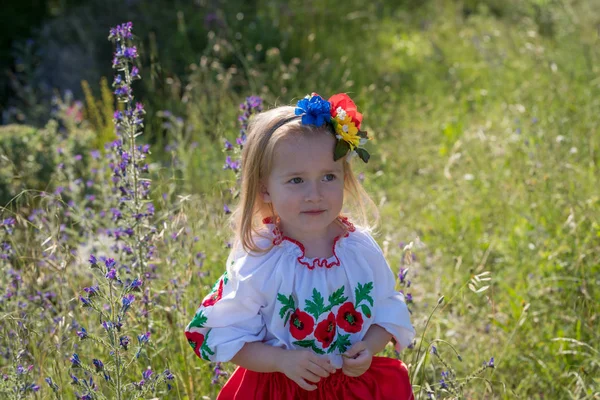 ウクライナの国民的ドレスの小さな女の子 — ストック写真