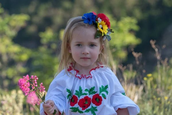 Niña en vestido nacional ucraniano —  Fotos de Stock