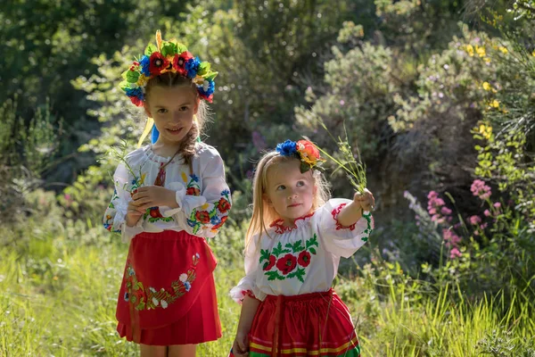 ウクライナのナショナルドレスの姉妹 — ストック写真