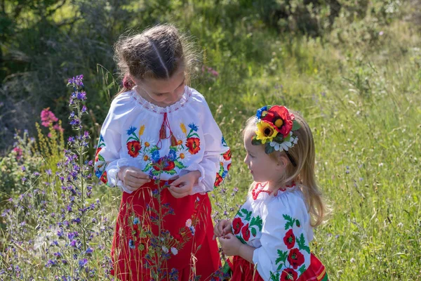 Irmãs em vestido nacional ucraniano — Fotografia de Stock