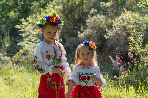 Zusters in Oekraïense nationale jurk — Stockfoto