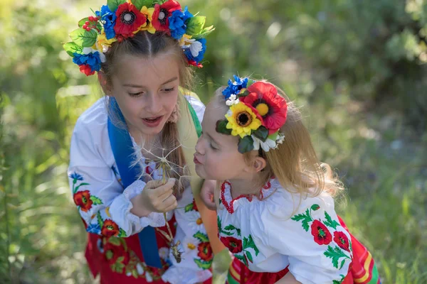 Zusters in Oekraïense nationale jurk — Stockfoto