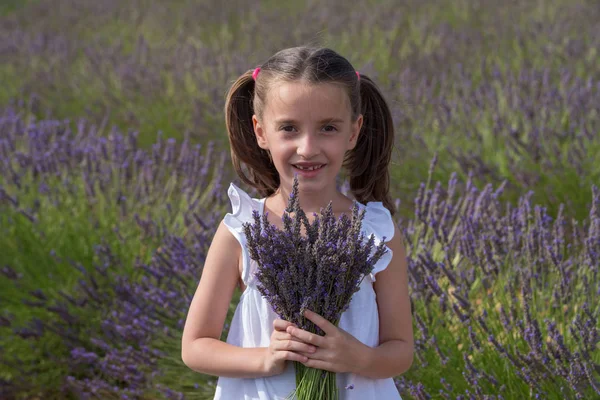 Valensole, Frankrike. Flicka i lavendel fält — Stockfoto