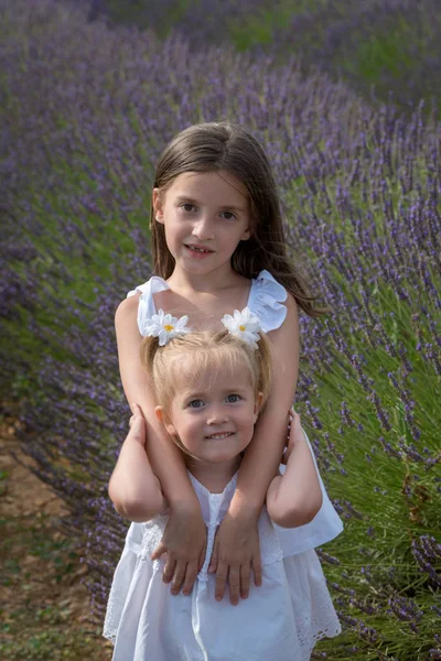 Søstre i blomsterområde af lavendel - Stock-foto