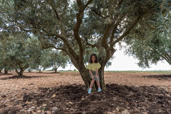 Zeytin ağacının altında çocuk kız — Stok fotoğraf