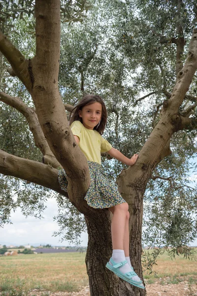 Criança menina escalando em uma oliveira — Fotografia de Stock