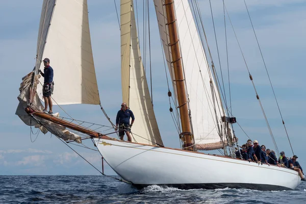 Klassieke jacht regatta — Stockfoto
