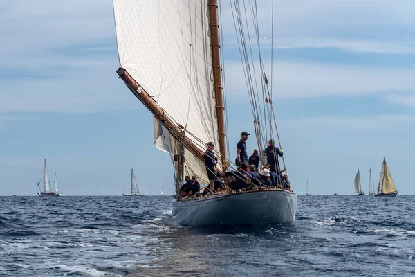 Classic yacht regatta — Stock fotografie