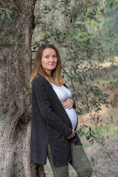 Mulher branca grávida em pé no jardim de oliveira — Fotografia de Stock