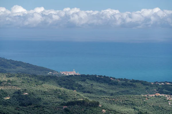 Diano Marina Körfezi Nin Nefes Kesici Manzarası Zeytin Ağaçlarıyla Dikilmiş — Stok fotoğraf