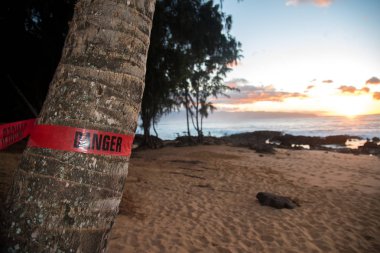 İşaret Oahu adasında, Amerika alınan tehlike ve Hawaii Pasifik Okyanusu diyor. Oahu, Hawaii, Amerika Birleşik Devletleri bulunan bir tropik ada bilinir.