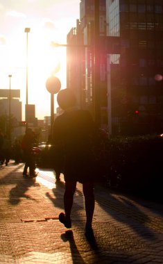 Tokyo, Japonya çevresinde onu okuldan eve giderken Japon lise öğrencisi olduğunu. Bir milyar insan nüfusu Japonya'da olduğunu.