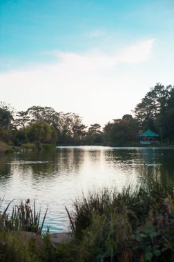 Long Beach, Kaliforniya'nın park gölde. California Amerika Birleşik Devletleri'nde bulunan iyi bir hava ile bilinir. 