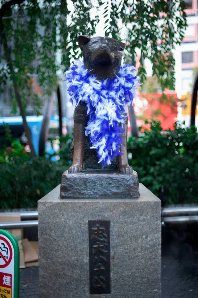 Hachiko Statue Shibuya Station Japan Hachiko Ist Ein Japanischer Hund — Stockfoto