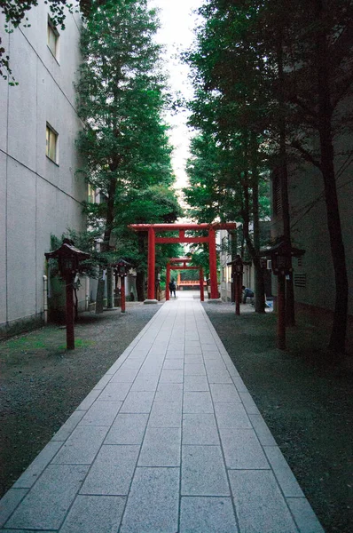 Trii Gate Ist Überall Japan Rot Bedeutet Buddhismus Und Orange — Stockfoto