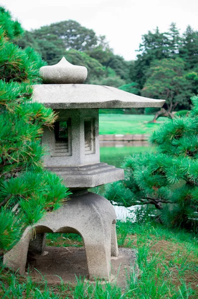 Jardin Japonais Automne Est Une Saison Très Colorée Japon Saison — Photo