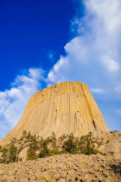 Devils Tower Located Crook County Northeastern Wyoming Also Known United — Stock Photo, Image